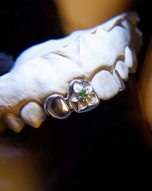 DATUWRKS custom grillz gallery showcase 7